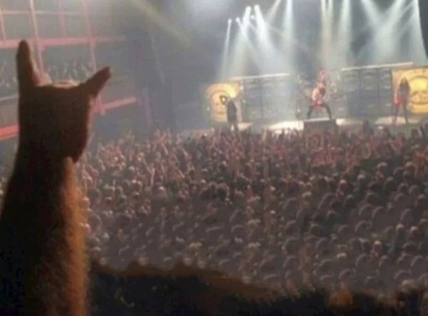 Curious Coincidences (18 pics)