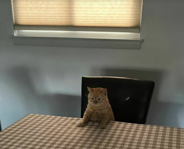 Cool And Funny Photos (22 pics)