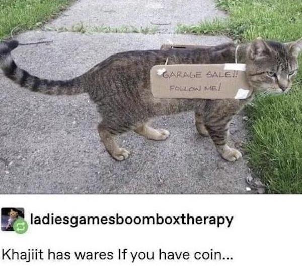 Memes For Gamers (29 pics)