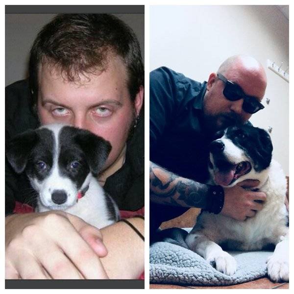 From A Small Puppy To A Big Dog (29 pics)