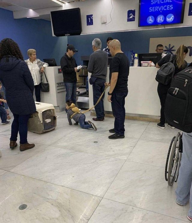 What Is Going On Here? (49 pics)