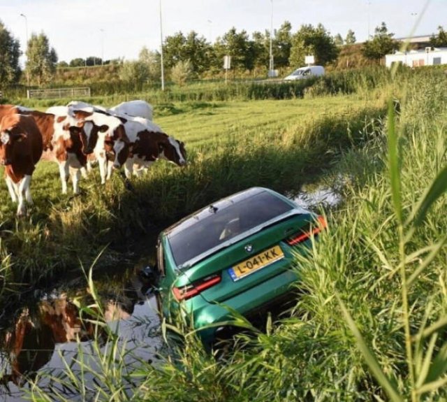 Bad Drivers (26 pics)