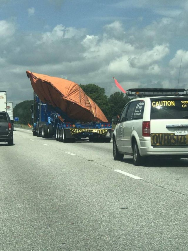 What Is Going On Here? (49 pics)