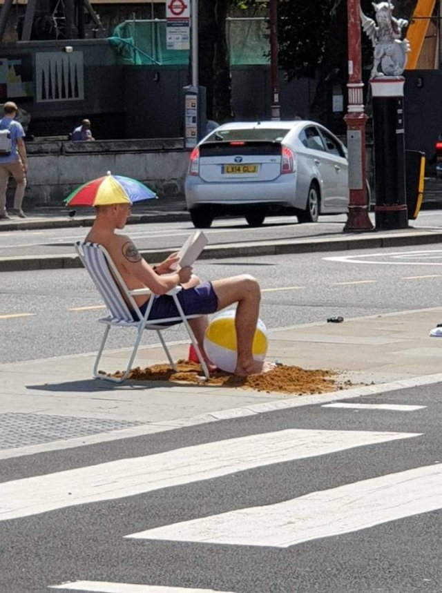 What Is Going On Here? (49 pics)