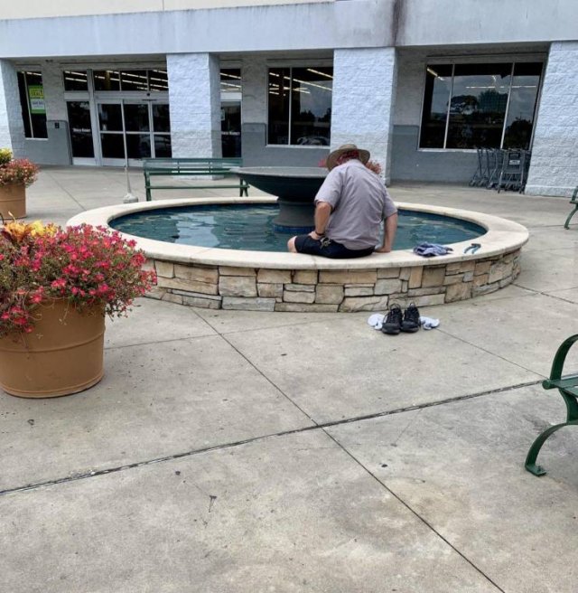 What Is Going On Here? (49 pics)