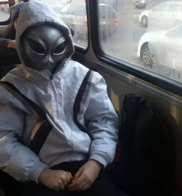 What Is Going On Here? (49 pics)