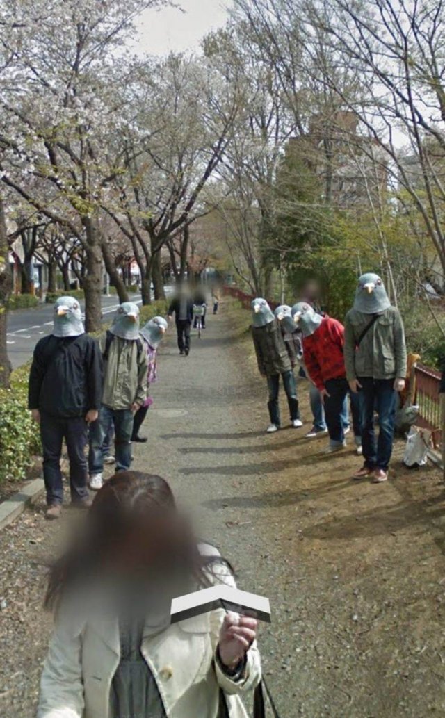 What Is Going On Here? (49 pics)
