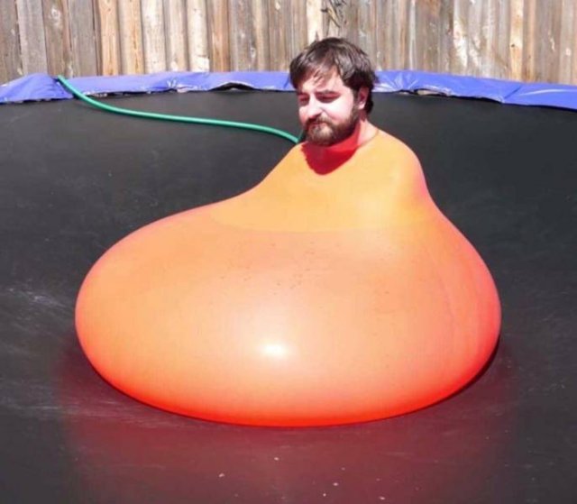 What Is Going On Here? (49 pics)