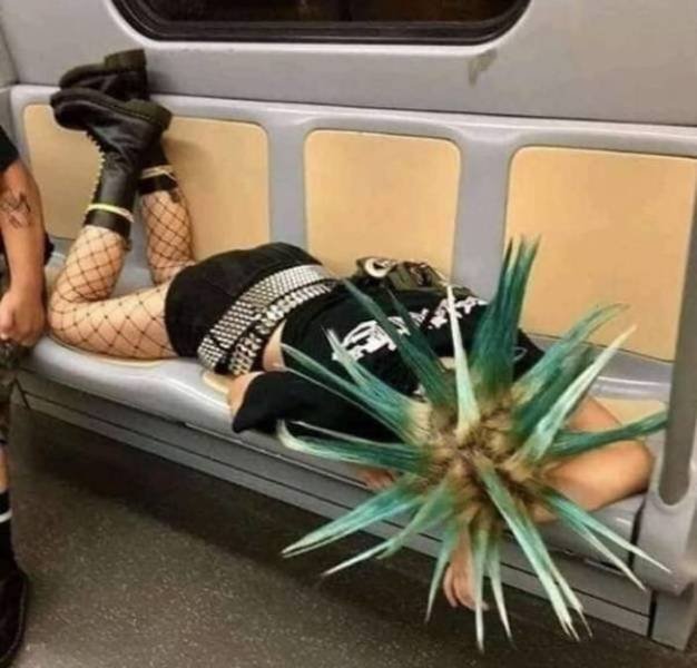Weird People In The Subway (31 pics)