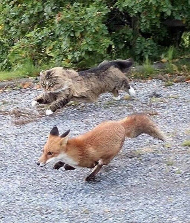 Unusual And Funny Photos From Around The World (22 pics)