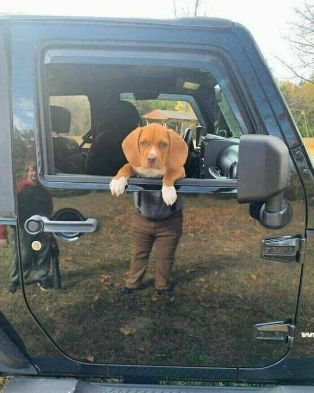 Unusual And Funny Photos From Around The World (22 pics)