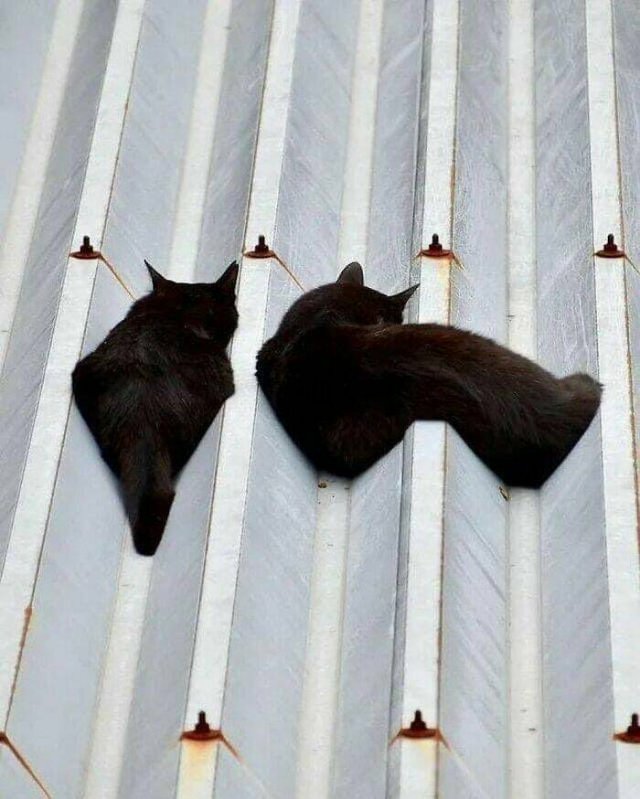 Unusual And Funny Photos From Around The World (22 pics)