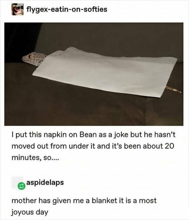 Random Jokes (22 pics)