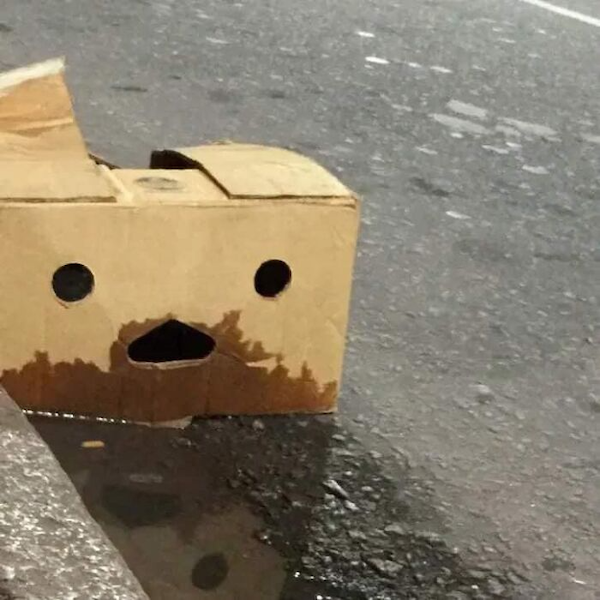 There Are Faces Everywhere (27 pics)