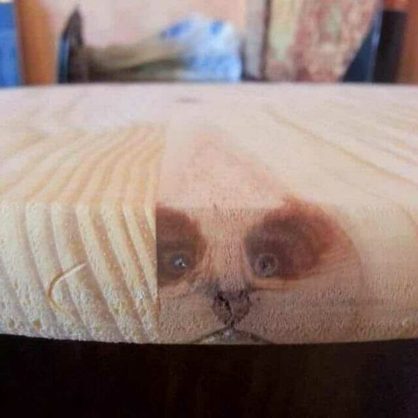 There Are Faces Everywhere (27 pics)