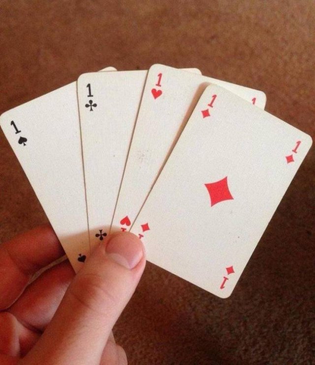 What Is Going On Here? (52 pics)