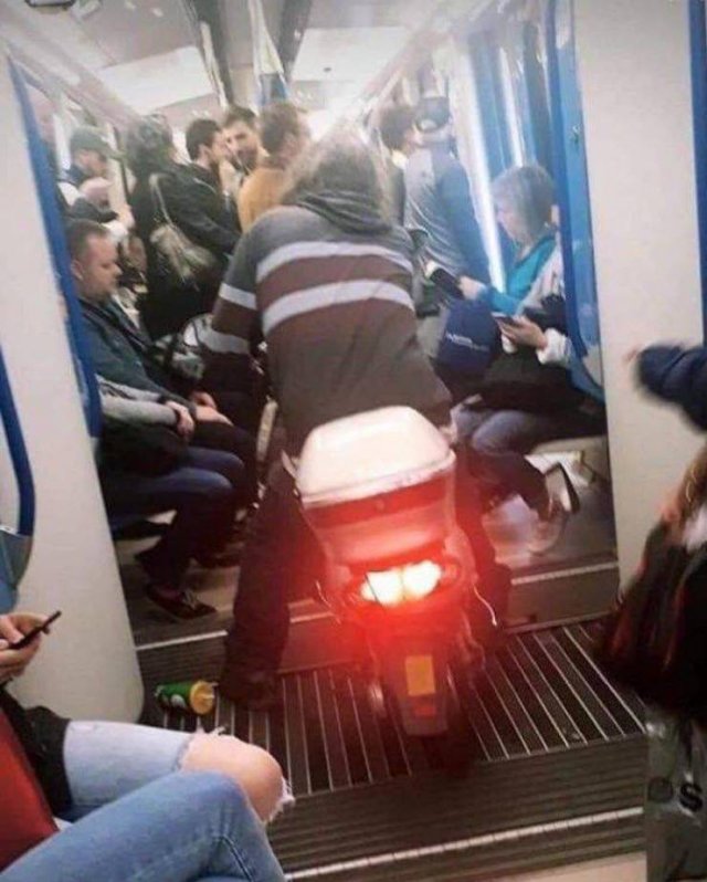 What Is Going On Here? (52 pics)