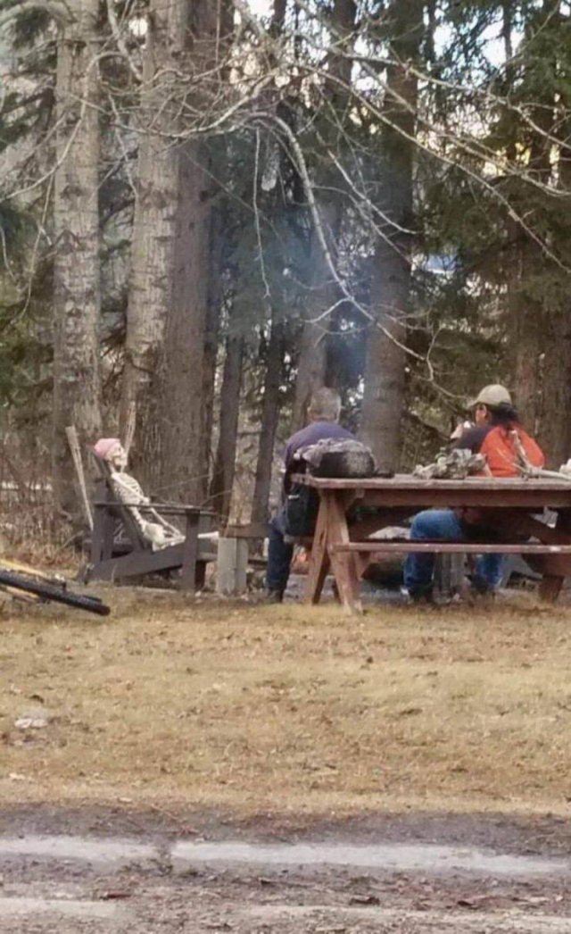 Strange Finds And Situations (50 pics)