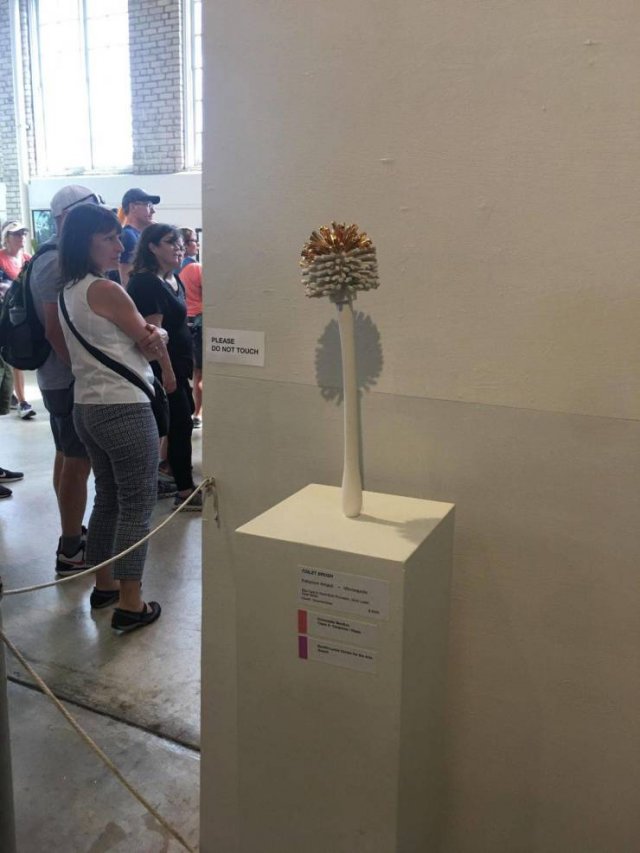 Strange Finds And Situations (50 pics)