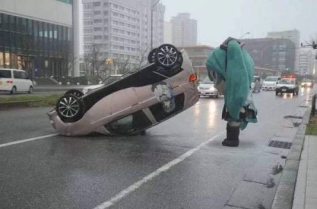 Odd Car Crashes (20 pics)