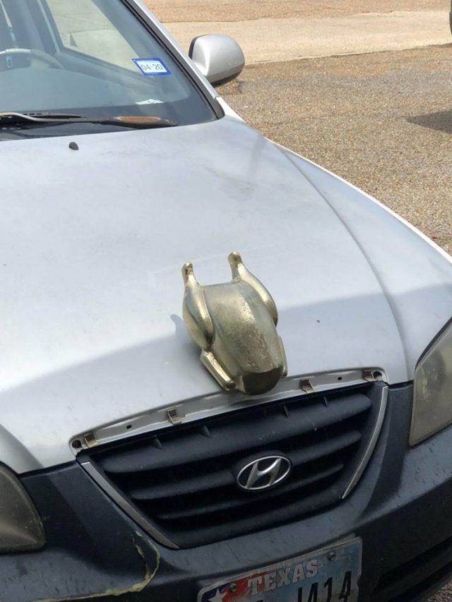 Strange Finds And Situations (50 pics)