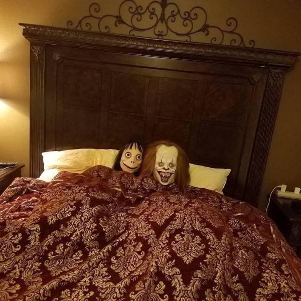 What Is Going On Here? (52 pics)
