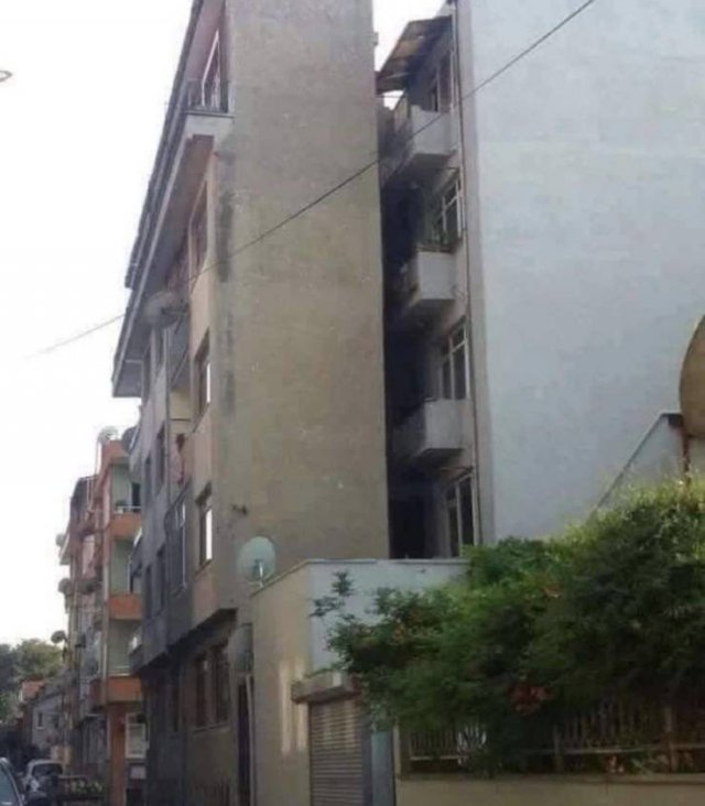 What Is Going On Here? (52 pics)