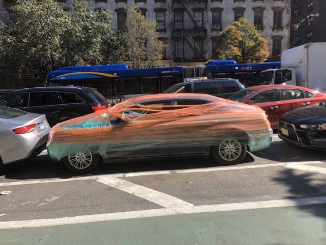 What Is Going On Here? (52 pics)