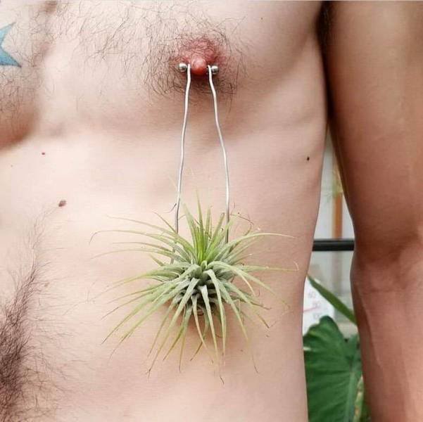 Strange Finds And Situations (50 pics)