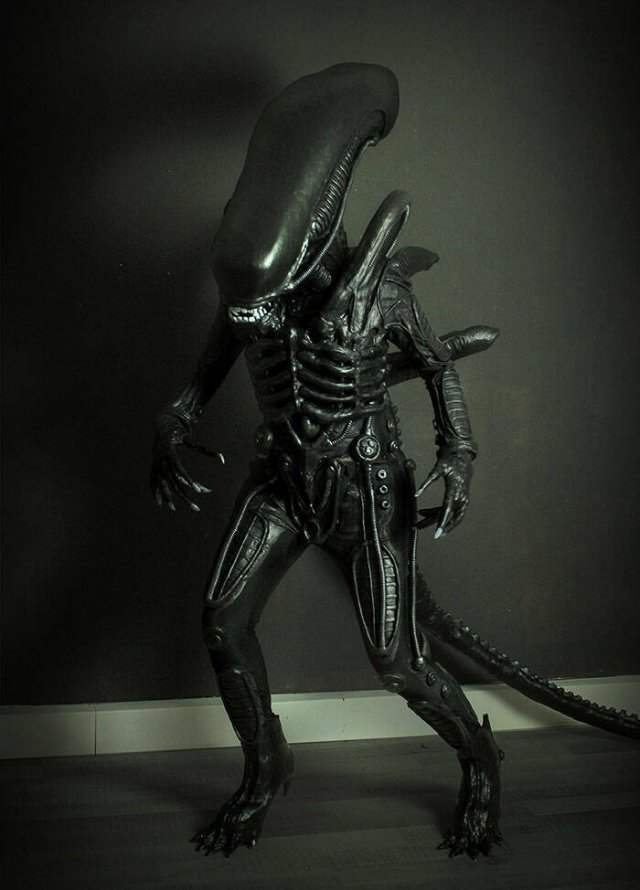 Cool Halloween Costumes (23 pics)