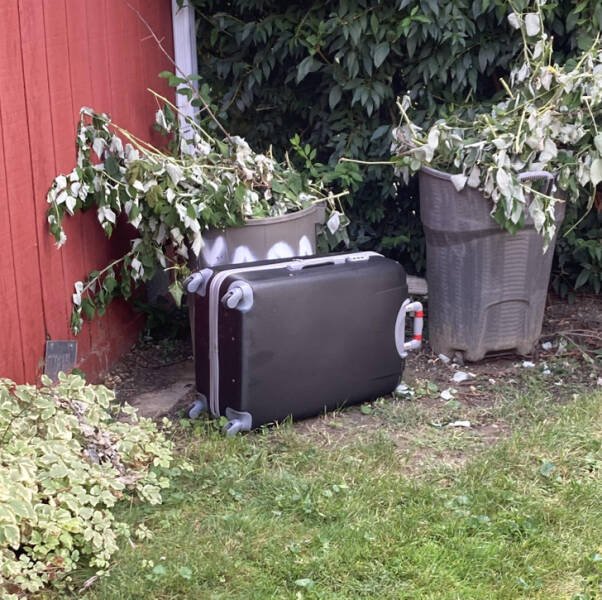 Creepy Finds And Situations (18 pics)