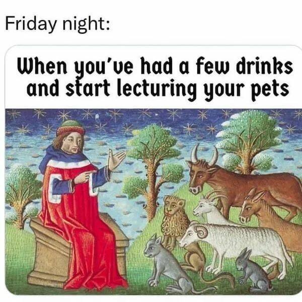 Medieval Memes (25 pics)