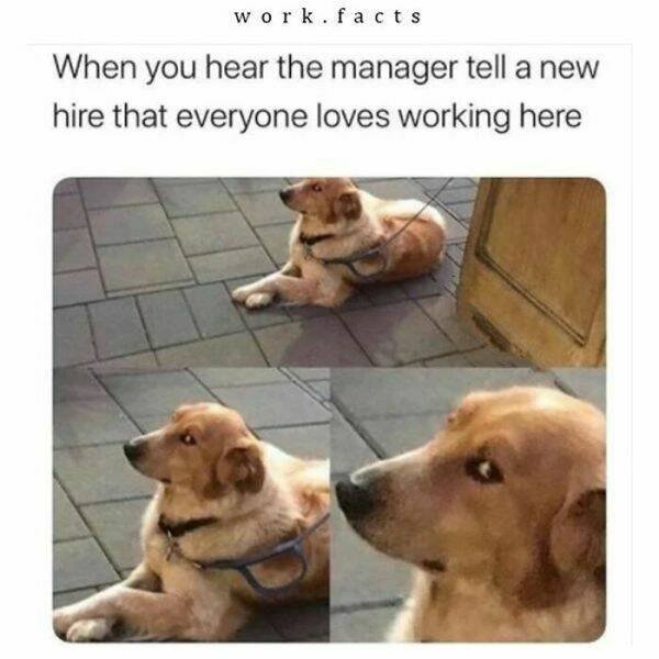 Work Memes (16 pics)