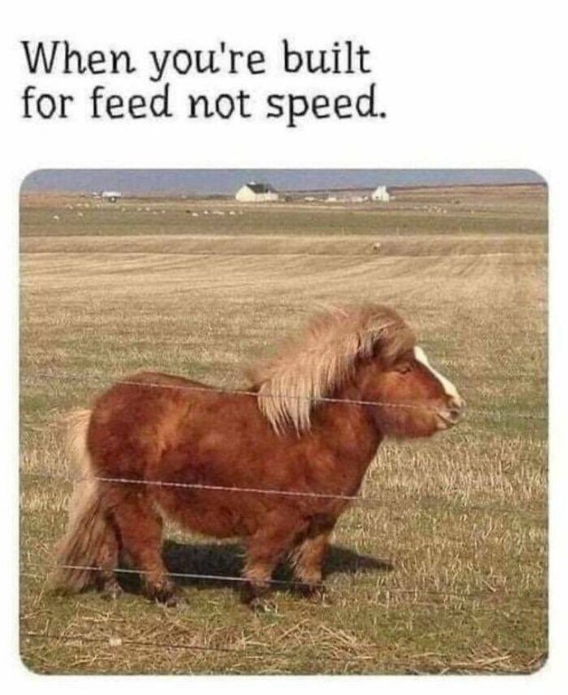 Funny Memes (23 pics)