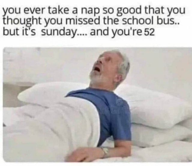 Funny Memes (23 pics)