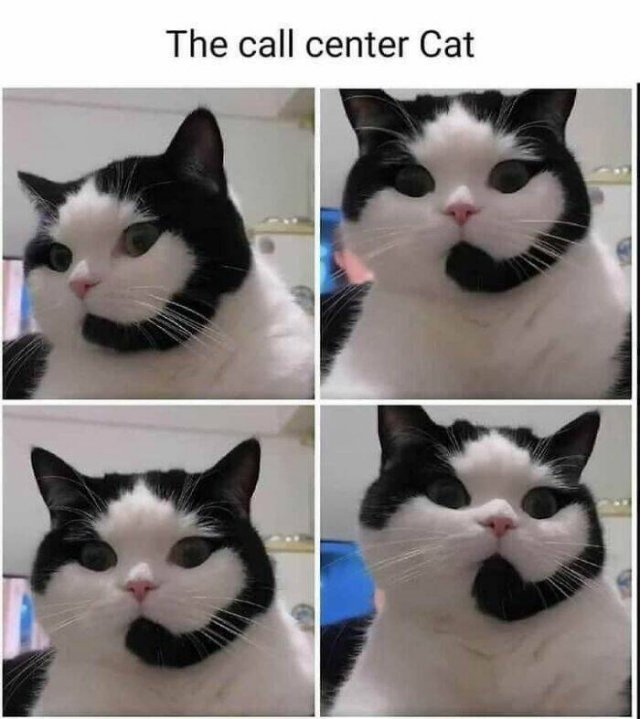 Funny Memes (23 pics)