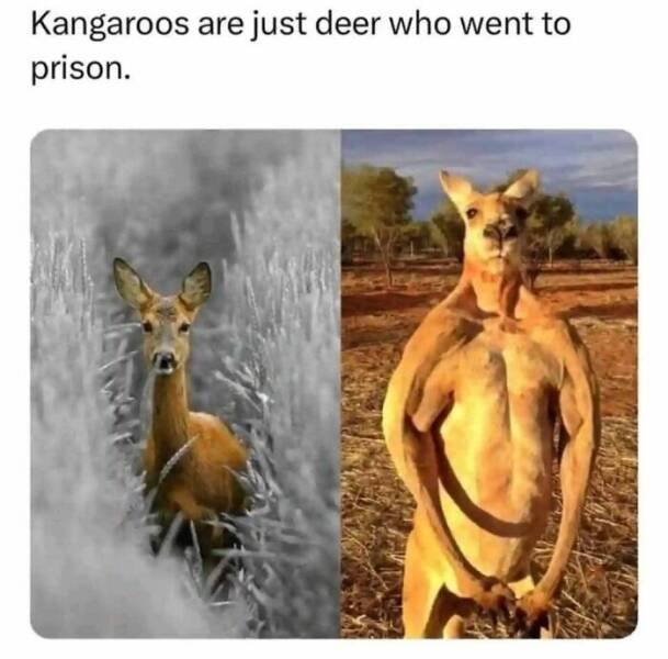 Funny Memes (23 pics)