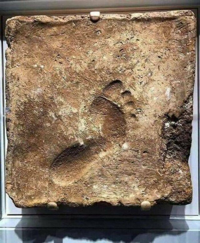 Random Facts (20 pics) Random Facts (20 pics)