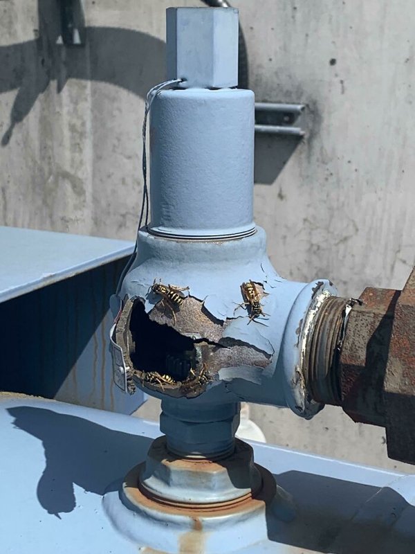 They Don't Think About Safety (29 pics)