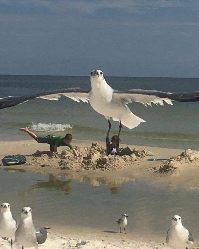 Look Twice (23 pics)