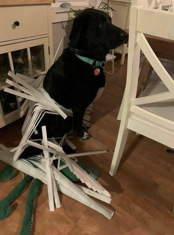 What Is Going On Here? (15 pics)