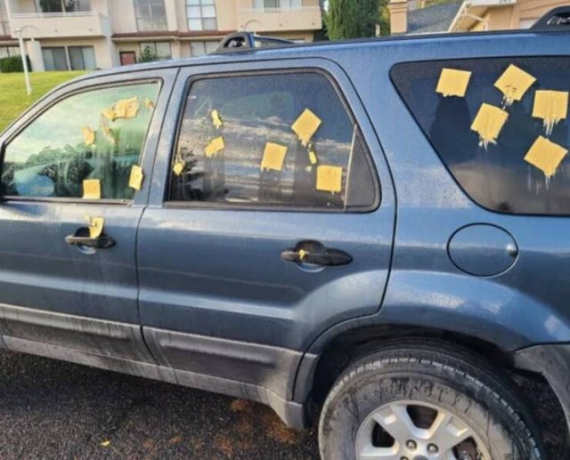 Annoying Finds And Situations (17 pics)