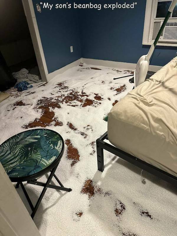 What Is Going On Here? (15 pics)