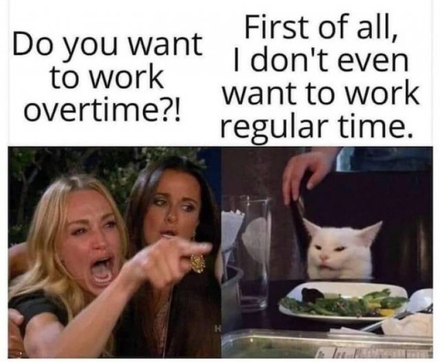 Work Memes (25 pics)