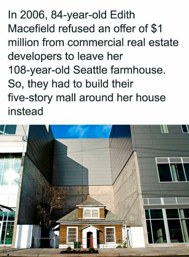 Interesting Facts (25 pics)