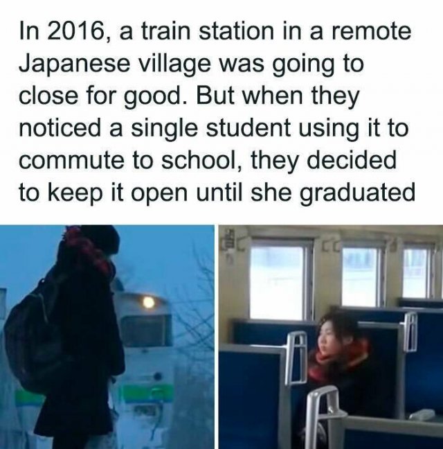 Interesting Facts (25 pics)