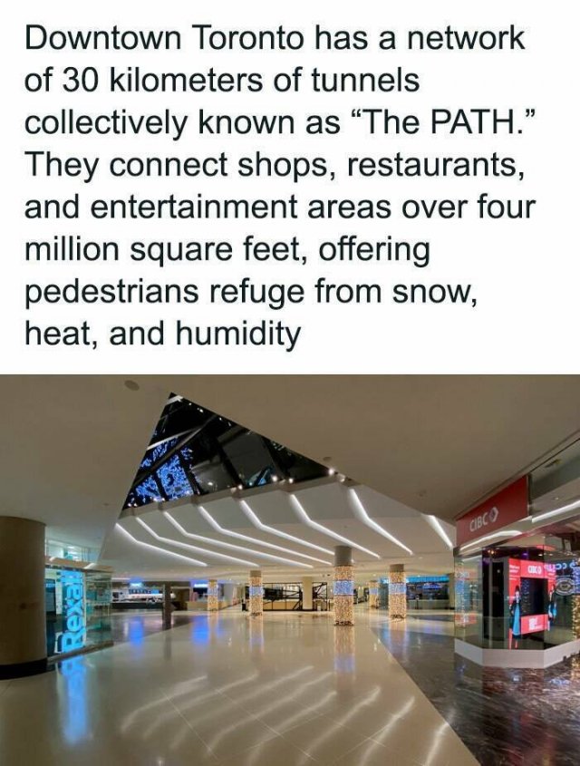 Interesting Facts (25 pics)