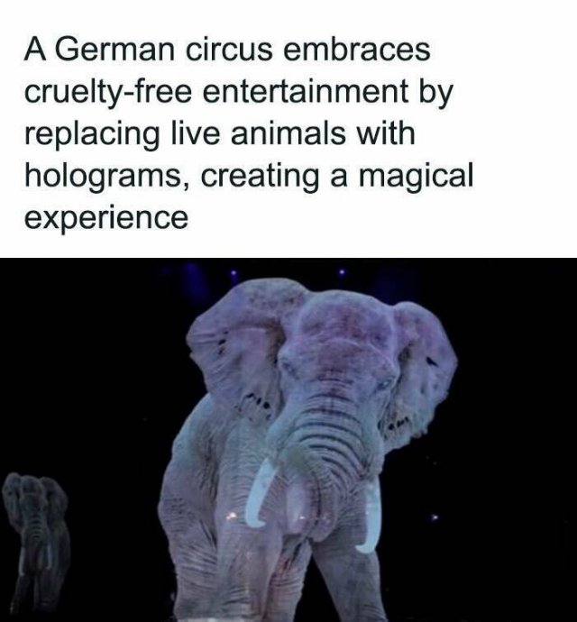 Interesting Facts (25 pics)
