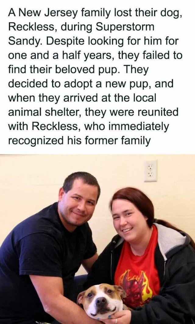 Interesting Facts (25 pics)