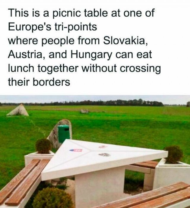 Interesting Facts (25 pics)